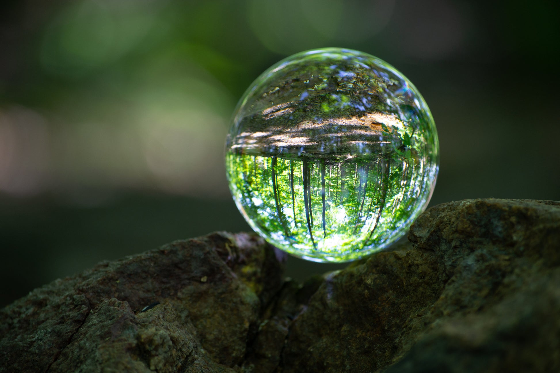 Green Woods Bubble Water Drop.Jpeg Canvas Art Wall Picture Or Gloss Print