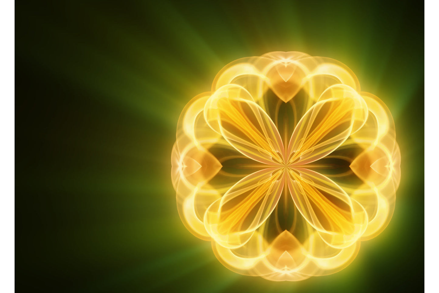 Green Yellow Abstract Flower Light Canvas Art Wall Picture Or Gloss Print