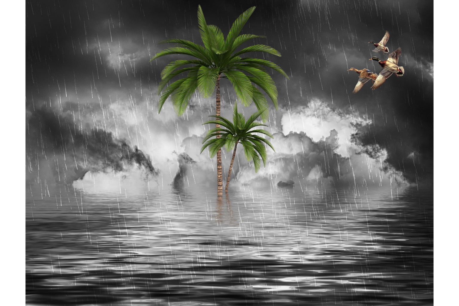 Grey Fantasy Palm Trees Ducks Sea Canvas Art Wall Picture Or Gloss Print