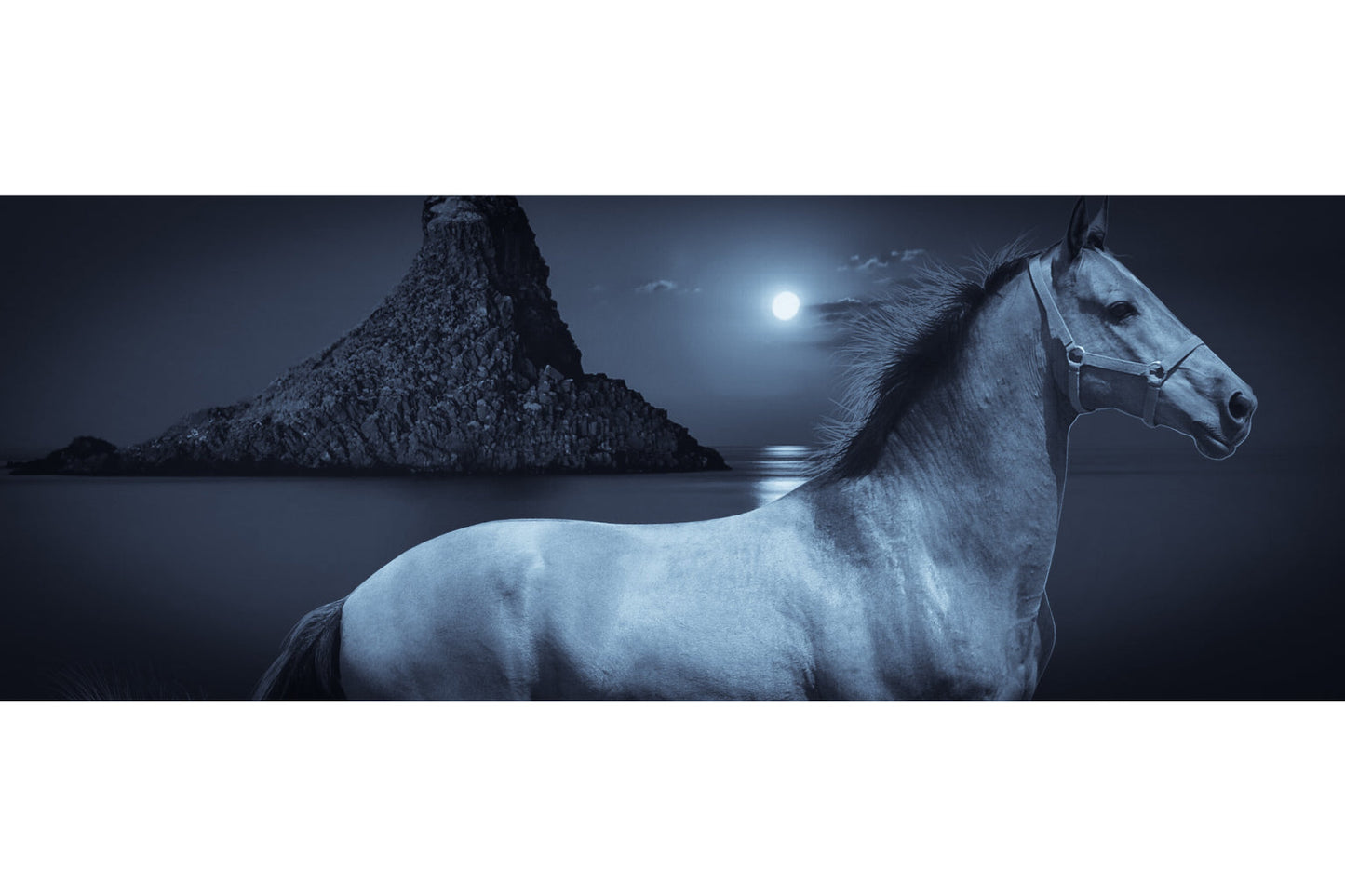 Grey Horse Moon Sea Black White Canvas Art Wall Picture Or Gloss Print