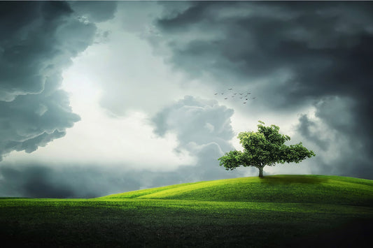 Grey Storm Clouds Green Tree Landscape Canvas Art Wall Picture Or Gloss Print