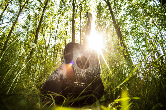 Guitar Green Trees Woods Forest Canvas Art Wall Picture Or Gloss Print