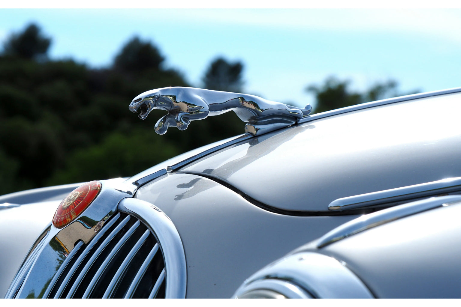 Jaguar Car Jumping Cars Auto Canvas Art Wall Picture Or Gloss Print