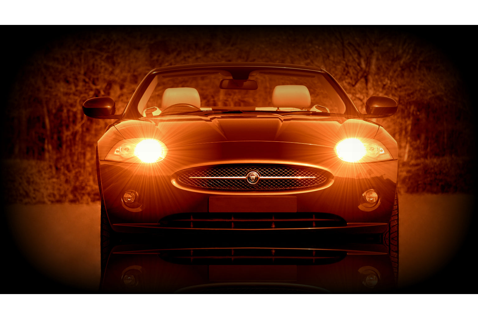 Jaguar Sports Car Car Auto Canvas Art Wall Picture Or Gloss Print