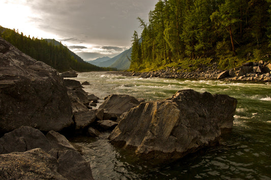 Landscapee River Green Trees Canvas Art Wall Picture Or Gloss Print