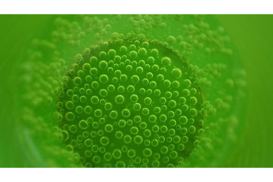 Lime Green Bubbles Abstract Canvas Art Wall Picture Or Gloss Print