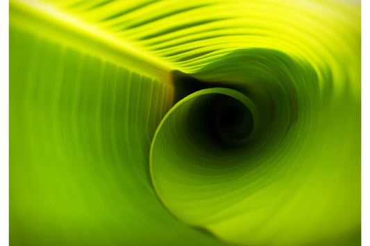 Lime Green Spiral Abstract Modern Canvas Art Wall Picture Or Gloss Print