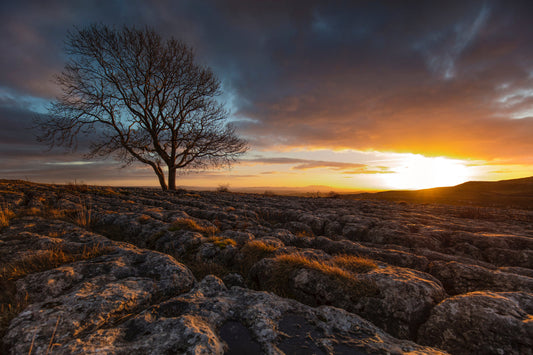 Lonely Tree Sunset Landscape Canvas Art Wall Picture Or Gloss Print