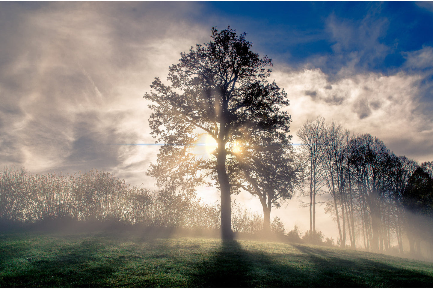 Misty Tree Sunset Sunrise Landscape Canvas Art Wall Picture Or Gloss Print