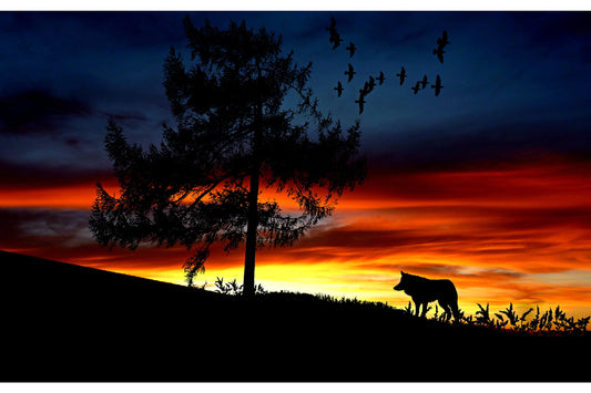 Orange Blue Sunset Tree Wolf Canvas Art Wall Picture Or Gloss Print