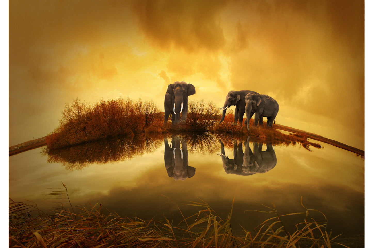 Orange Elephant Sunset Landscape Sunrise Canvas Art Wall Picture Or Gloss Print