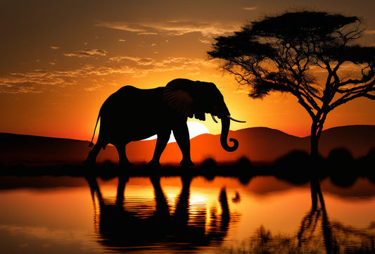 Orange Elephant Sunset Tree Canvas Art Wall Picture