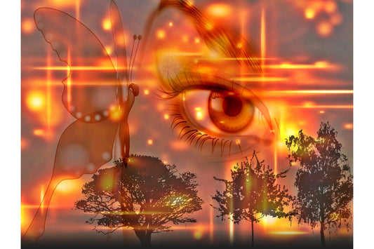 Orange Fantasy Eye Butterfly Trees Canvas Art Wall Picture Or Gloss Print