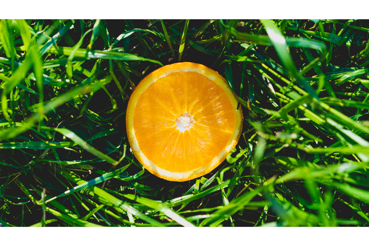 Orange Fruit In Green Grass Kitchen Food Canvas Art Wall Picture Or Gloss Print