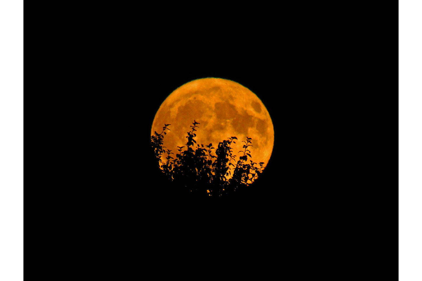 Orange Full Moon Sky Space At Night Canvas Art Wall Picture Or Gloss Print