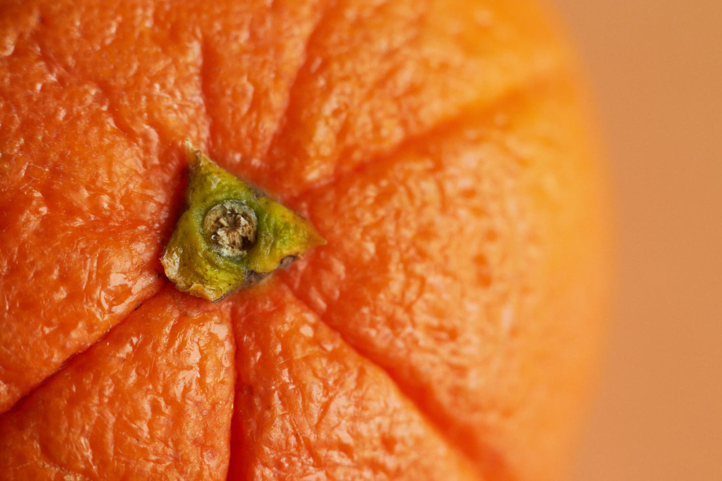 Orange Pumpkin Vegetable Food Kitchen Cafe Canvas Art Wall Picture Or Gloss Print