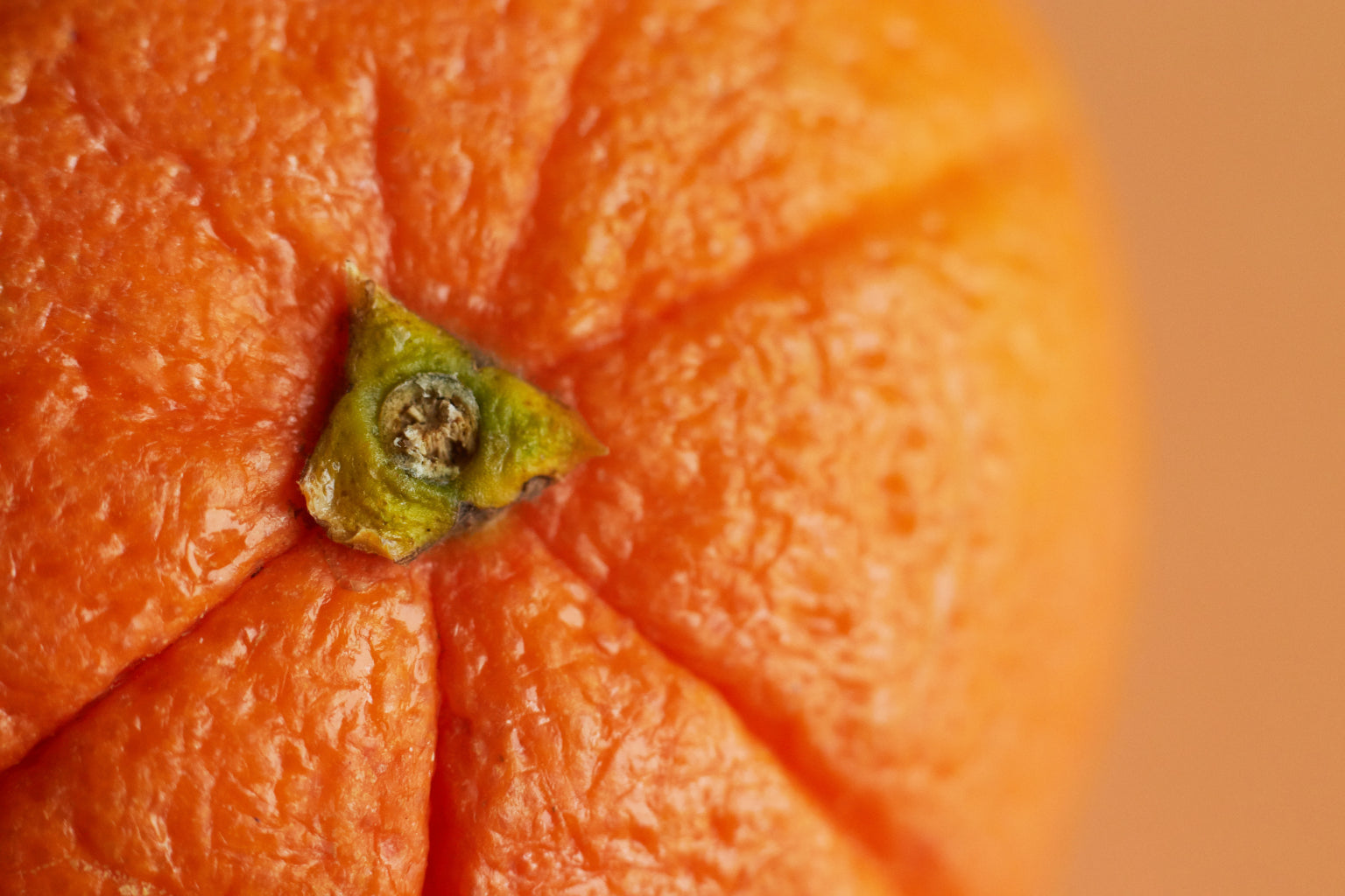 Orange Pumpkin Vegetable Food Kitchen Cafe Canvas Art Wall Picture Or Gloss Print