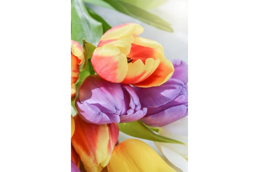 Orange Purple Flowers Tulips Yellow Canvas Art Wall Picture Or Gloss Print