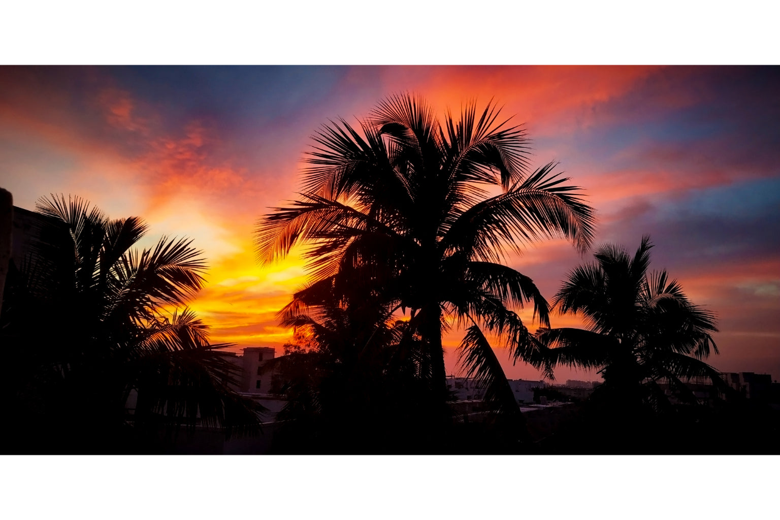 Orange Purple Palm Tree Sunset Canvas Art Wall Picture Or Gloss Print