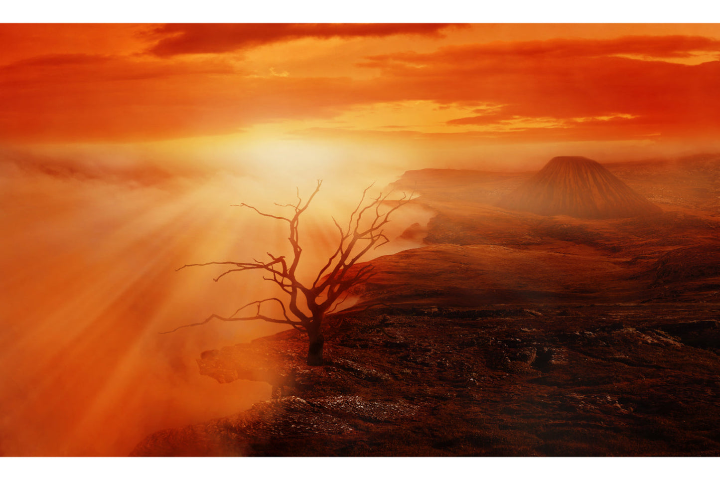 Orange Red Tree Sunset Landscape Canvas Art Wall Picture Or Gloss Print