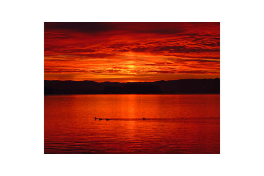 Orange Sunset Bird Lake Mountains Canvas Art Wall Picture Or Gloss Print