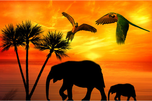 Orange Sunset Elephant Parrot Palm Tree Canvas Art Wall Picture Or Gloss Print