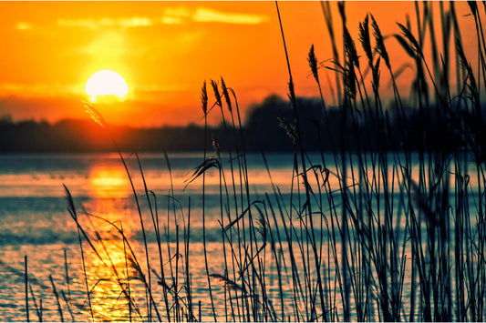 Orange Sunset Lake Reeds Landscape Canvas Art Wall Picture Or Gloss Print