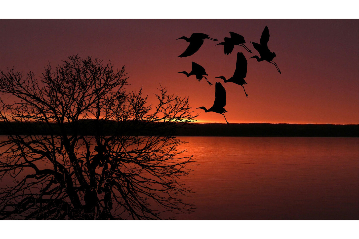 Orange Sunset Landscape Geese Birds Tree Canvas Art Wall Picture Or Gloss Print