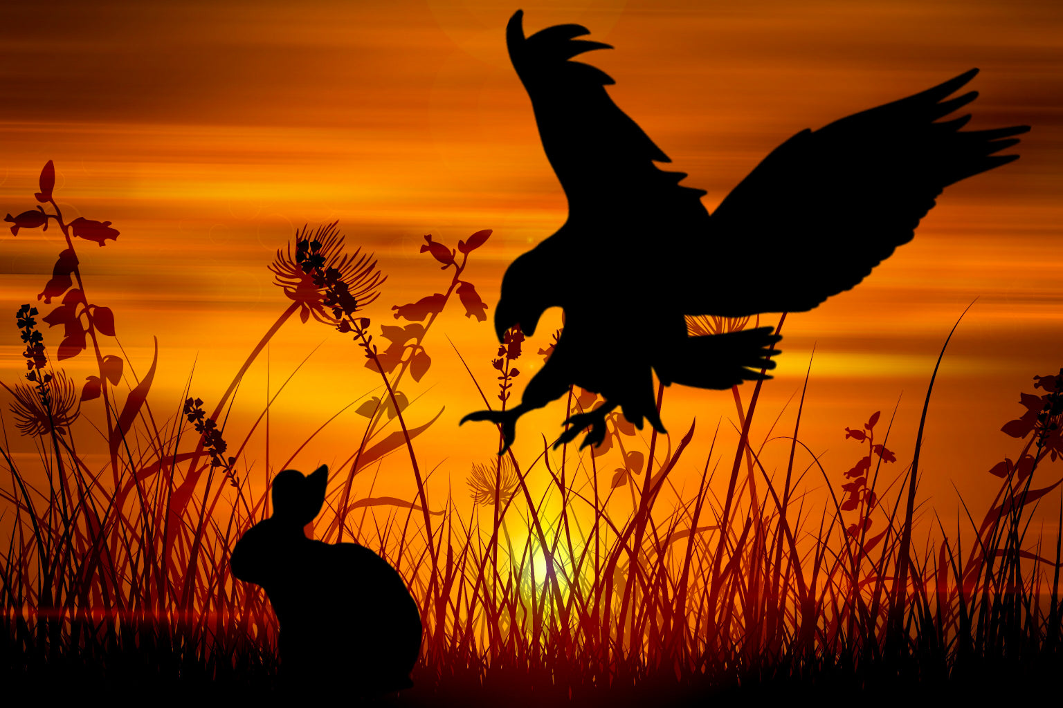 Orange Sunset Rabbitt Eagle Bird Canvas Art Wall Picture Or Gloss Print