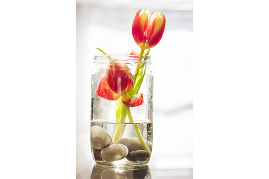 Orange Tulip Flowers In Water Jar Flower Canvas Art Wall Picture Or Gloss Print