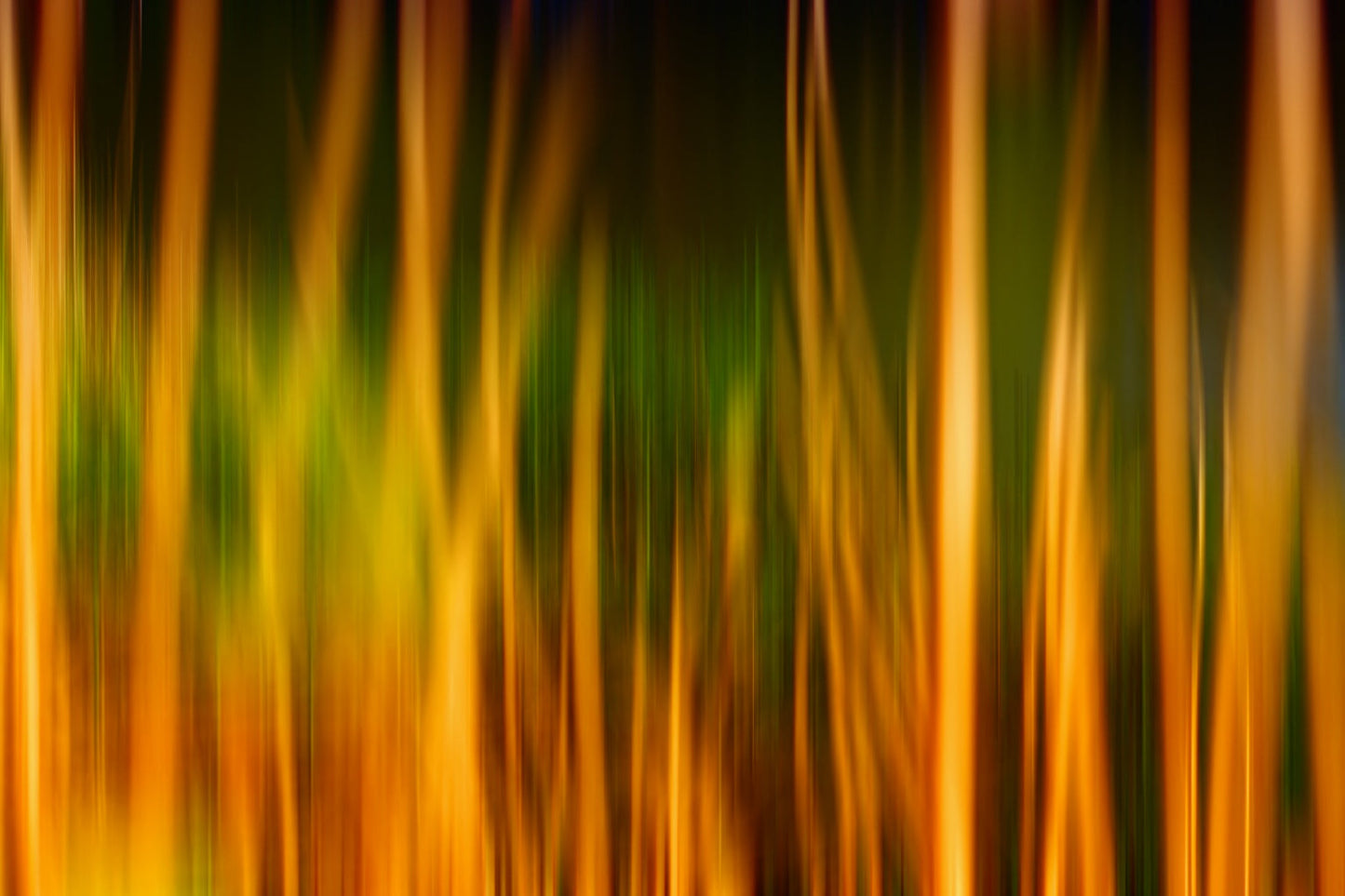 Orange Yellow Green Abstract Light Canvas Art Wall Picture Or Gloss Print