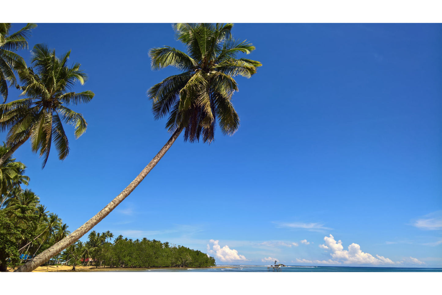 Palm Trees Blue Sky Landscape Canvas Art Wall Picture Or Gloss Print