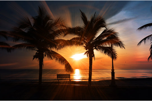 Palm Trees Sunset Beach Canvas Art Wall Picture Or Gloss Print