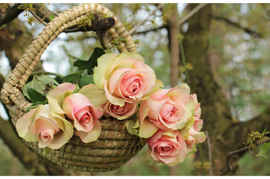 Pink Cream Roses Basket Flowers Bloom Floral Canvas Art Wall Picture Or Gloss Print