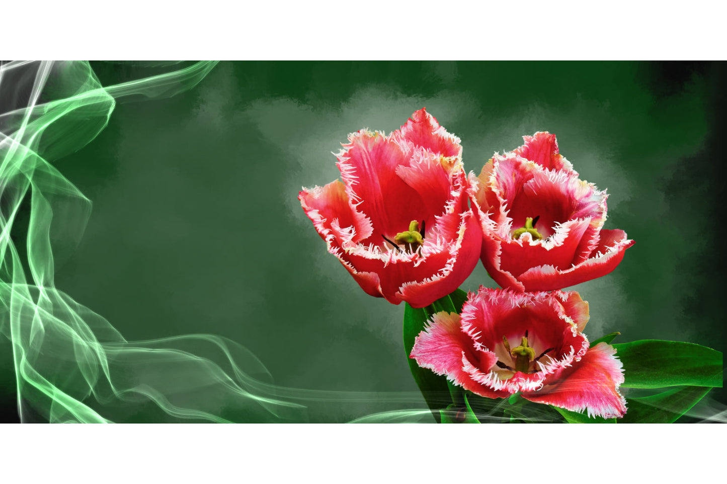 Pink Flowers Green Floral Bloom Canvas Art Wall Picture Or Gloss Print