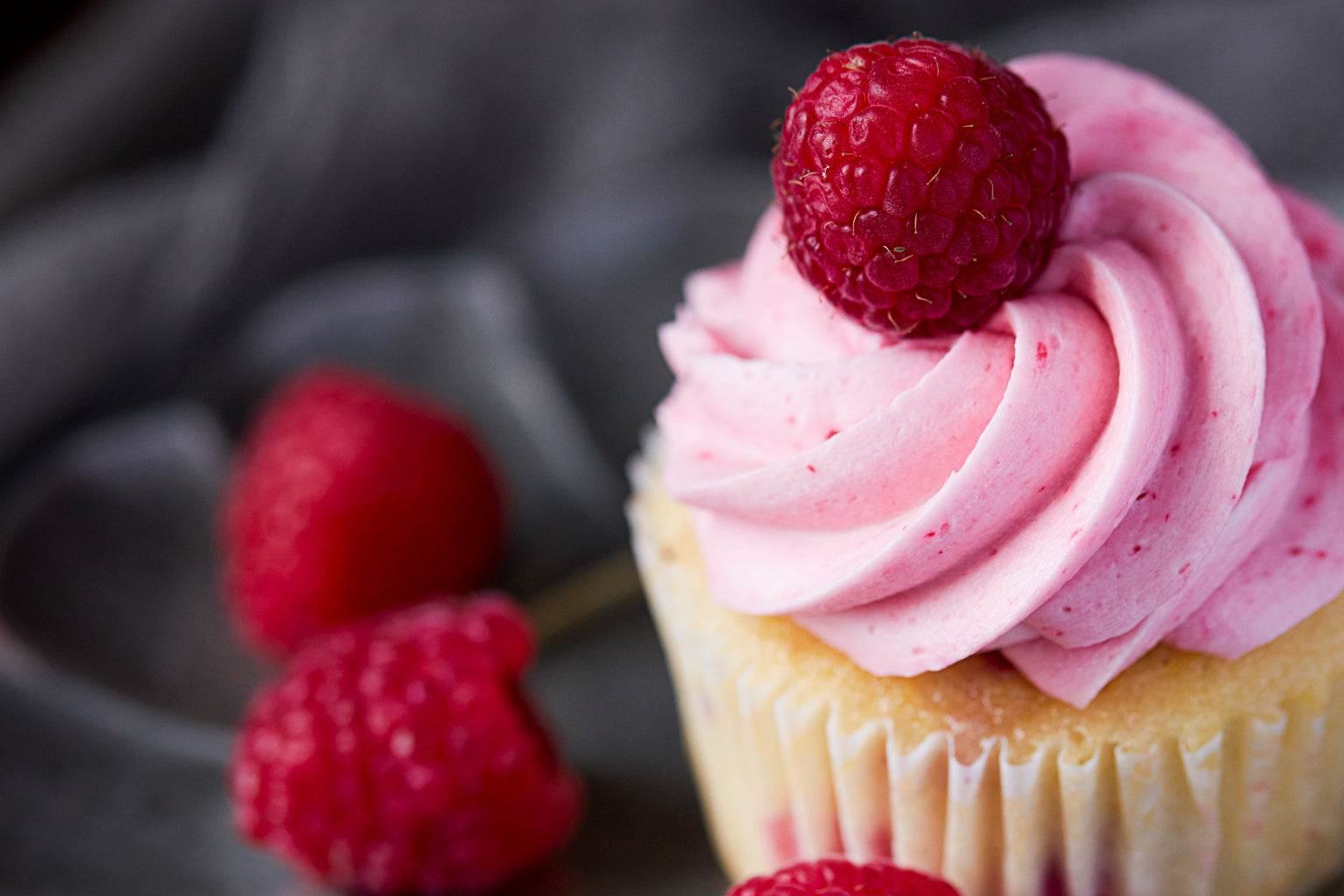 Pink Raspberry Cupcake Cafe Kitchen Food Canvas Art Wall Picture Or Gloss Print