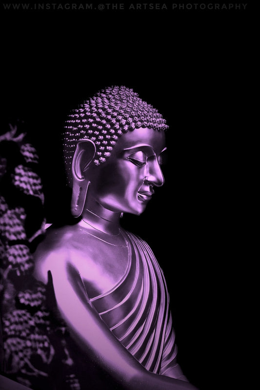 Purple Black Buddha Statue Canvas Art Wall Picture