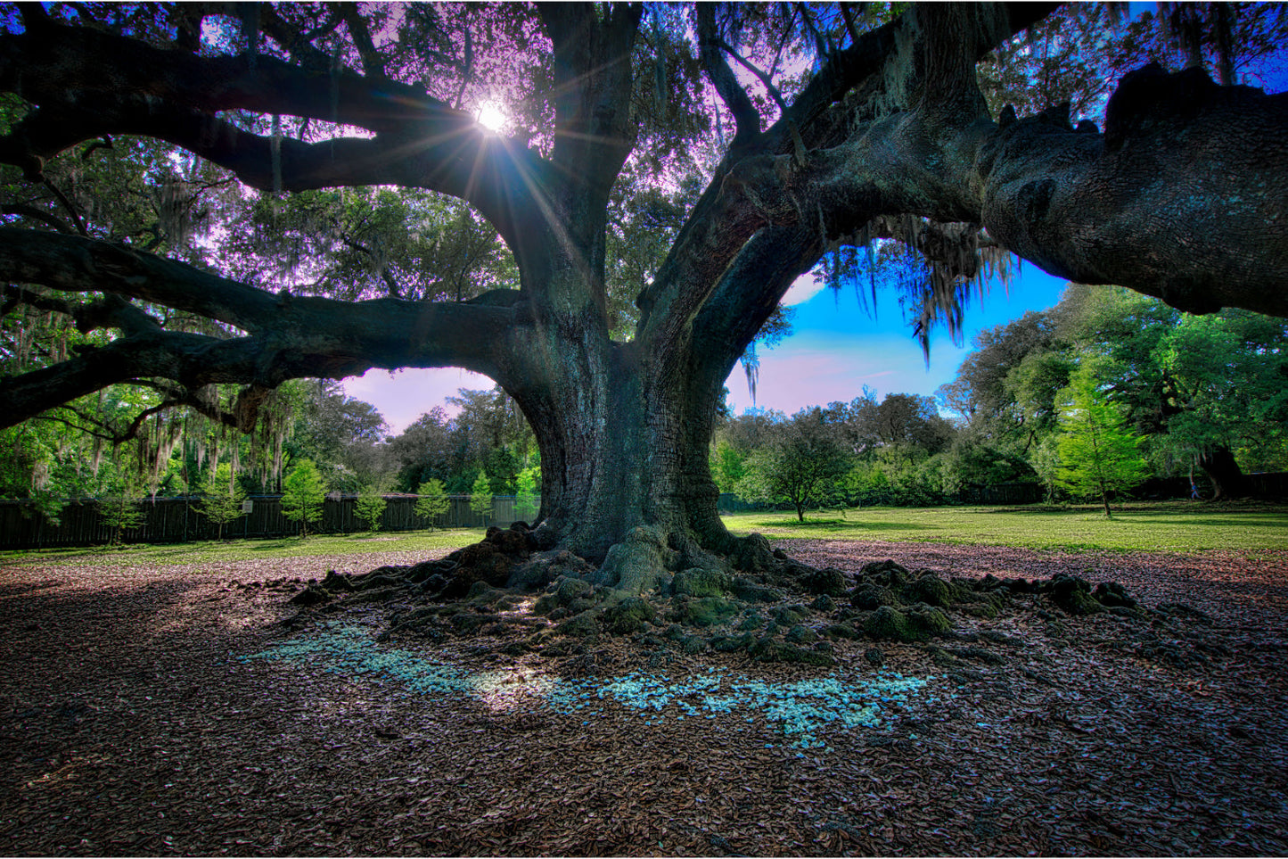 Purple Blue Green Tree Landscape Canvas Art Wall Picture Or Gloss Print