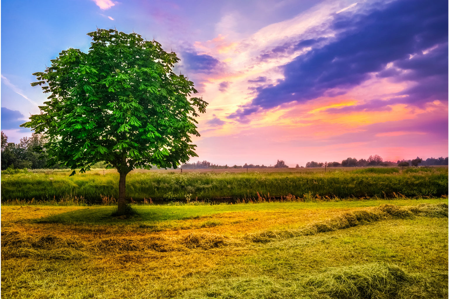 Purple Blue Sunset Field Tree Canvas Art Wall Picture Or Gloss Print