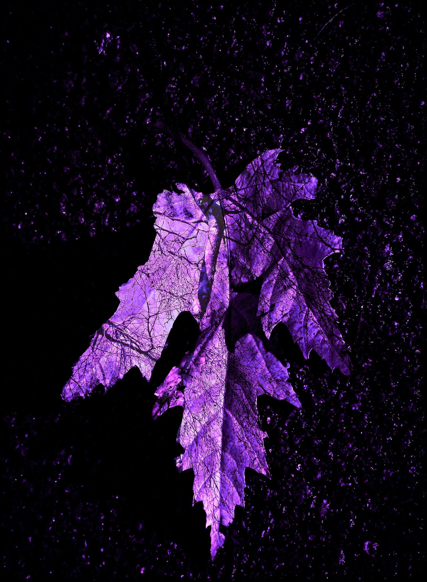 Purple Leaves Abstract Canvas Art Wall Picture Or Gloss Print