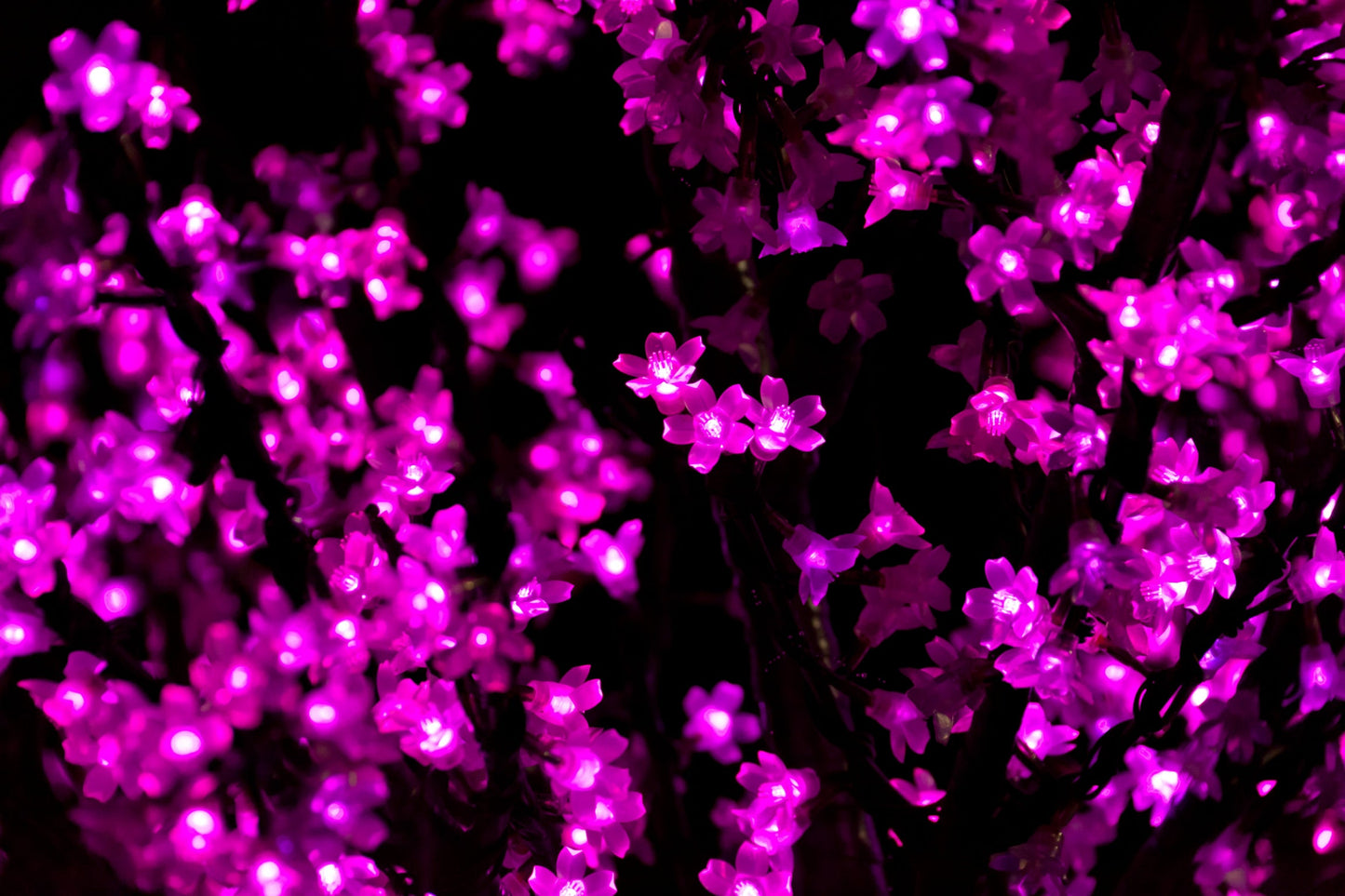 Purple Light Flowers Canvas Art Wall Picture Or Gloss Print