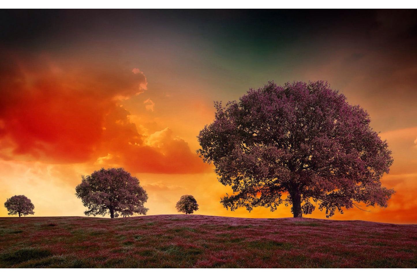 Purple Tree Sunset Orange Landscape Canvas Art Wall Picture Or Gloss Print