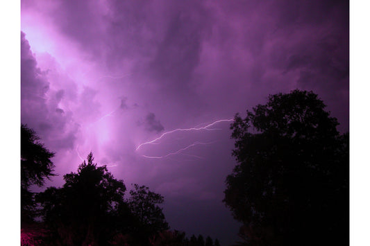 Purple Trees Lightning Thunder Storm Canvas Art Wall Picture Or Gloss Print