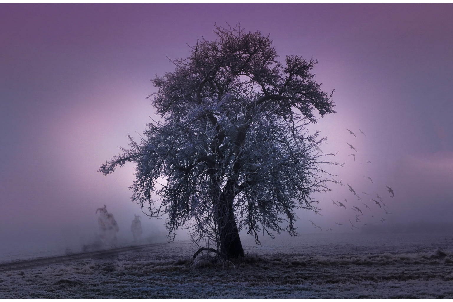 Purple Winter Tree Landscape Canvas Art Wall Picture Or Gloss Print