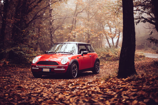 Red Mini Car Autumn Woods Trees Motoring Canvas Art Wall Picture Or Gloss Print