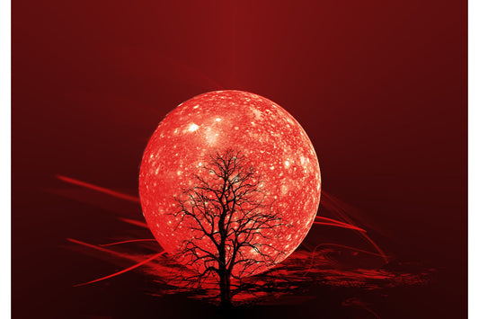 Red Moon Tree Planet Abstract Modern Canvas Art Wall Picture Or Gloss Print