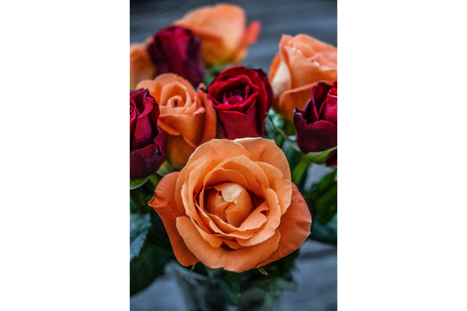 Red Orange Roses Flowers Canvas Art Wall Picture Or Gloss Print