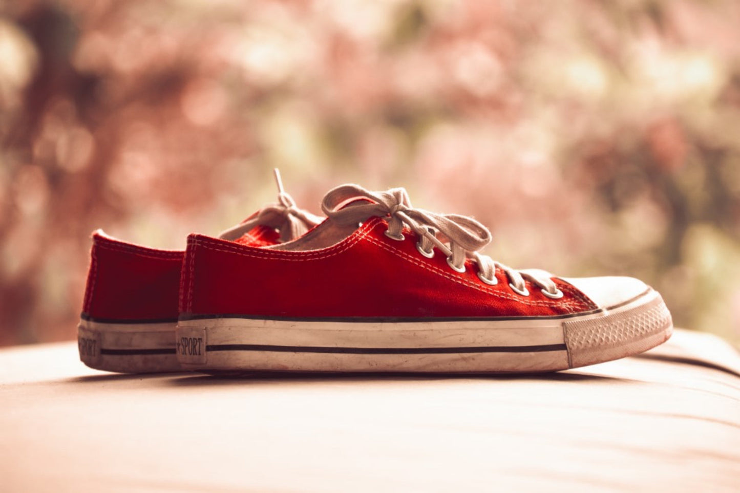 Red Shoes Trainers Sneakers Canvas Art Wall Picture Or Gloss Print