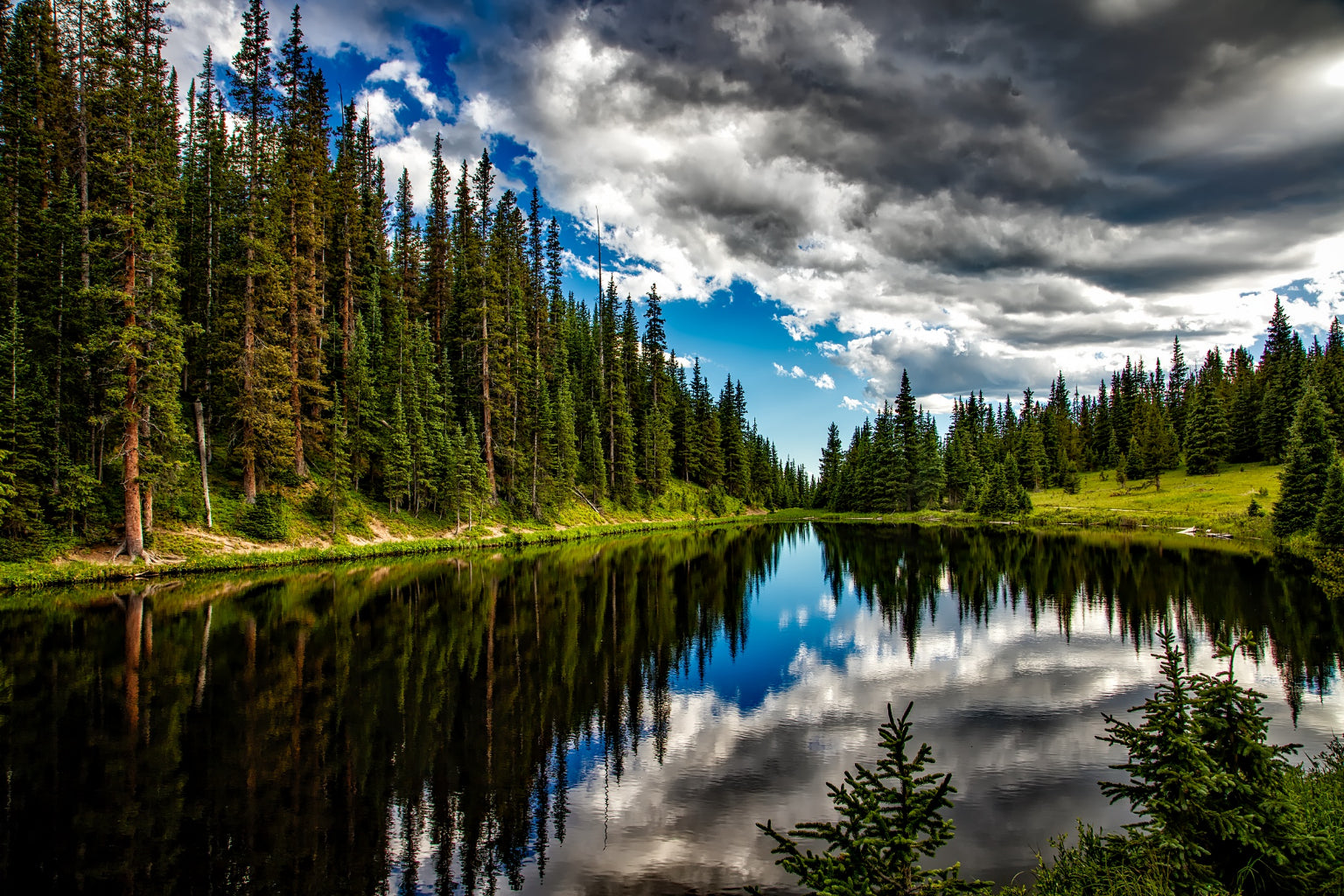 River In The Green Woods Forest Trees Canvas Art Wall Picture Or Gloss Print