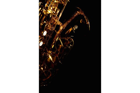 Saxophone Music Musical Instrument Canvas Art Wall Picture Or Gloss Print